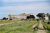 Selinunte the temple hill - Temple E. Perhaps dedicated to Era (Juno), (V c BC), it was reconstructed in the mid-fifties with  the anastylosis method. 